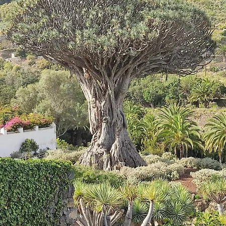 Pintadera's House/espiral Casa vacanze